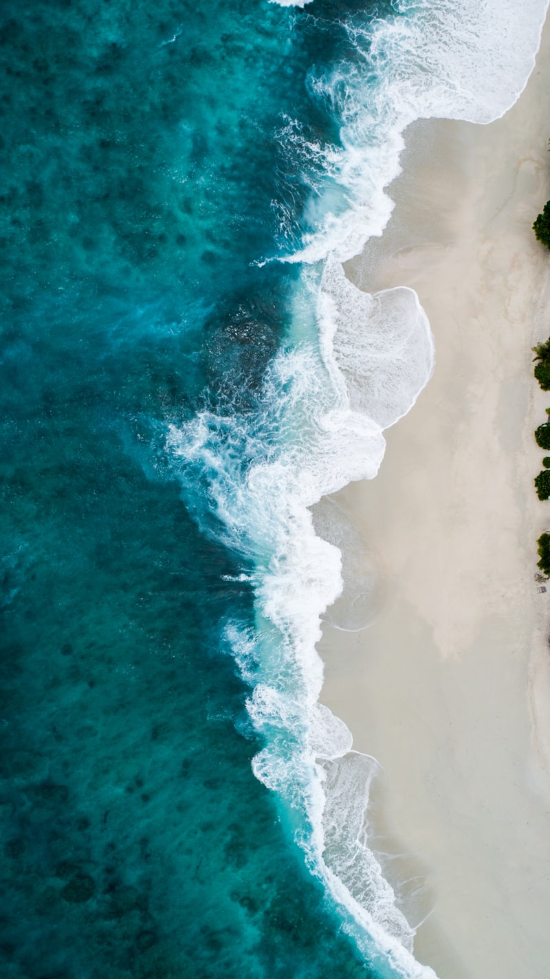 ハワイの青い海